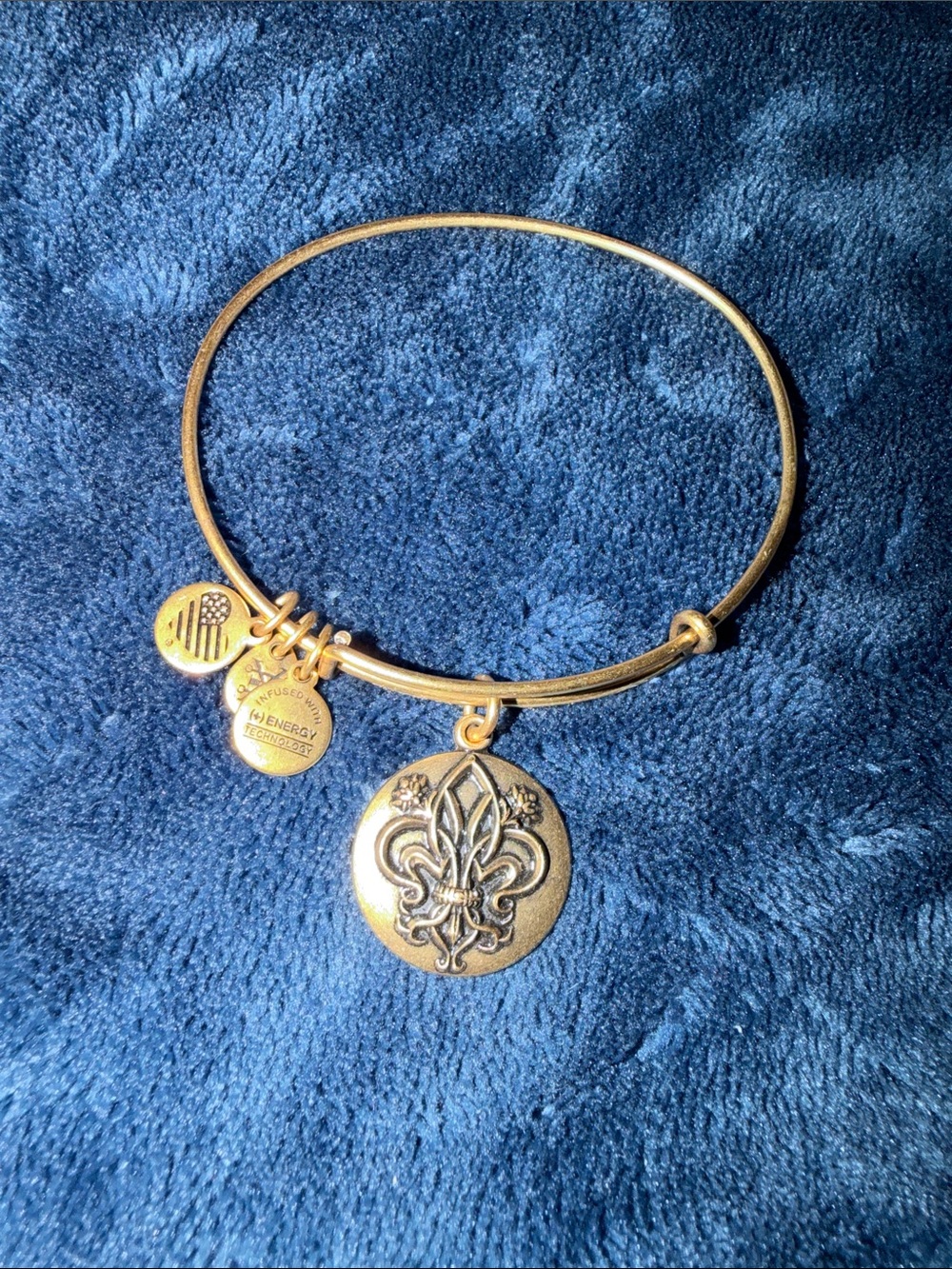 Alex and Ani Gold Fleur de Lis Charm Expandable Bangle Bracelet